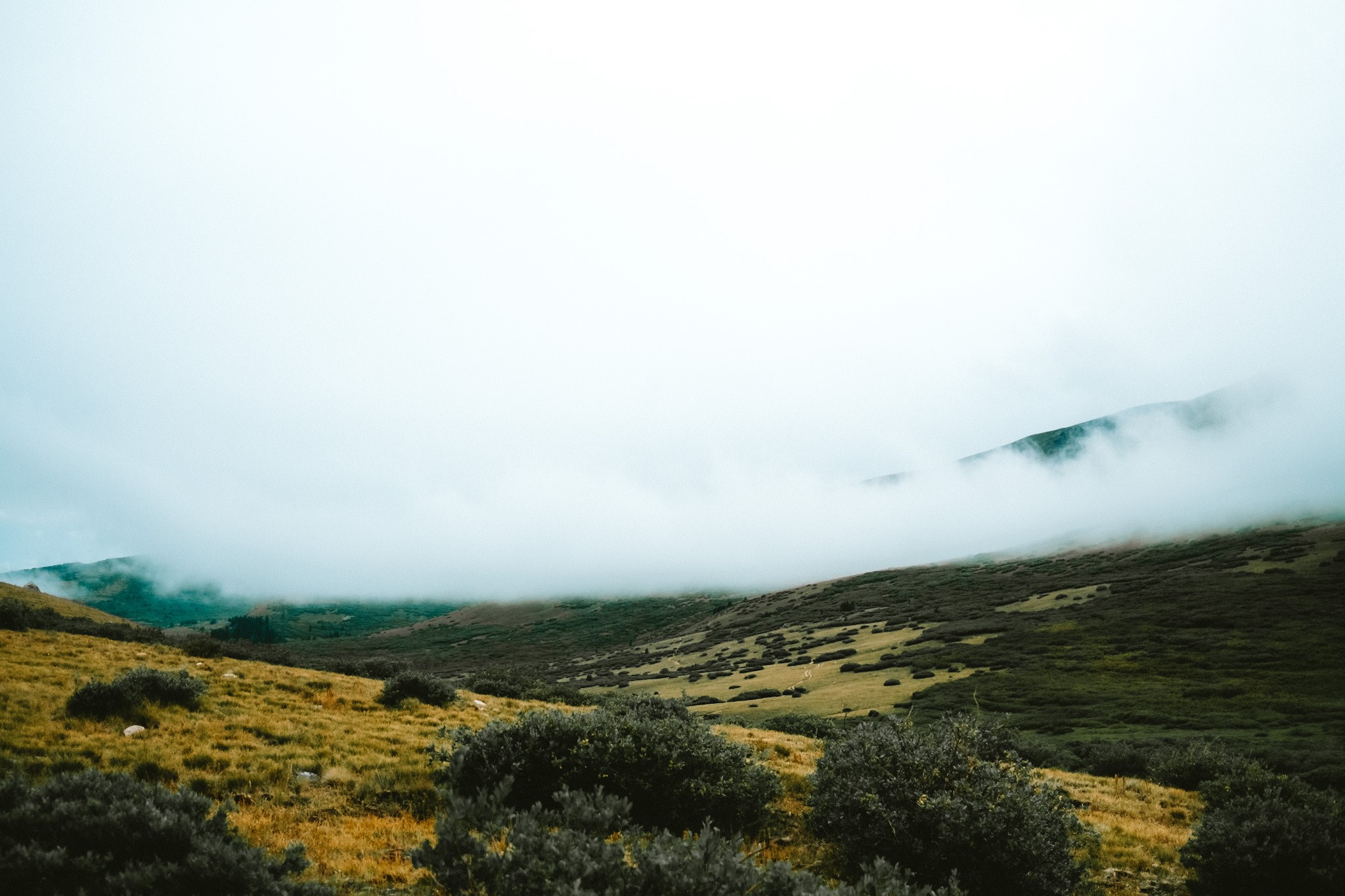 Person sitting on floor working on laptop